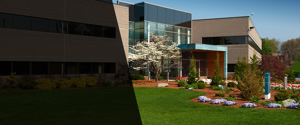 Ilion Landscapers