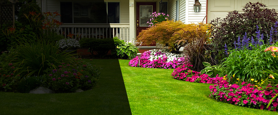 Ilion Landscapers