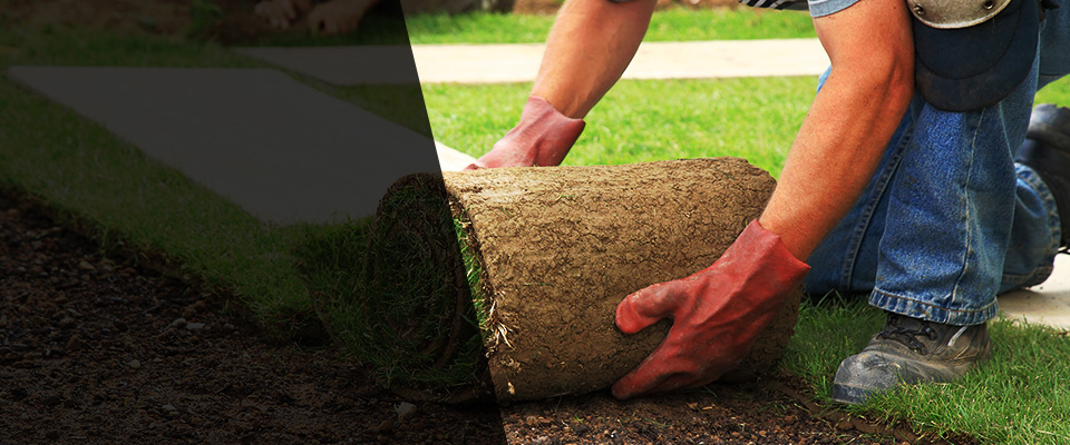 Ilion Landscapers